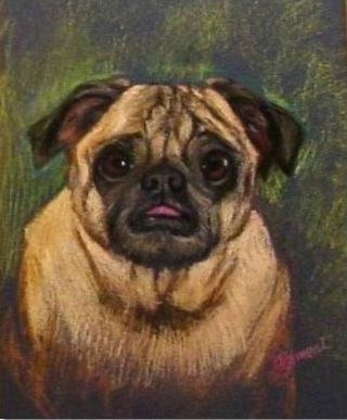JakePug.jpg